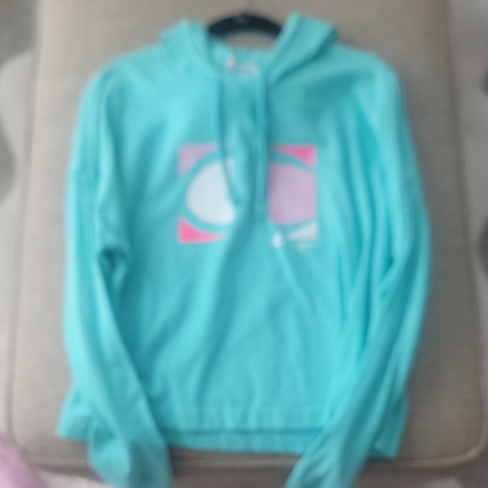 Champion Teal Hoodie with Pink Logo
